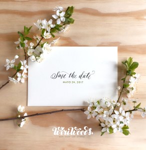 WiriWorkshop_Mayo2017