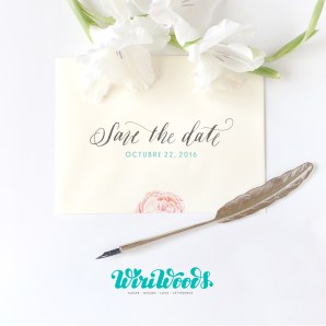 WiriWorkshop_Octubre2016