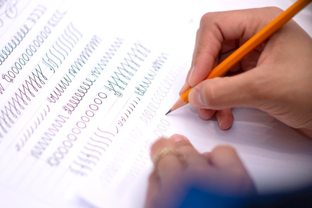 WiriWoods_SantoTipo3