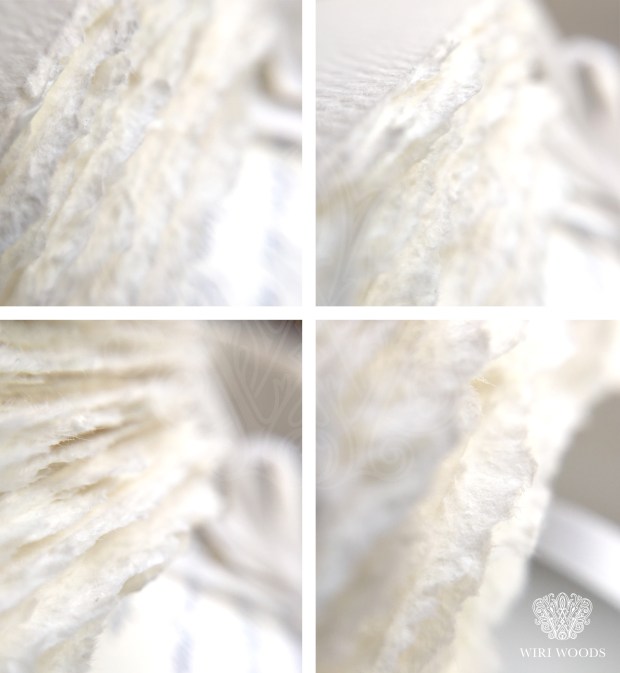 WiriWoods_Papel Rasgado