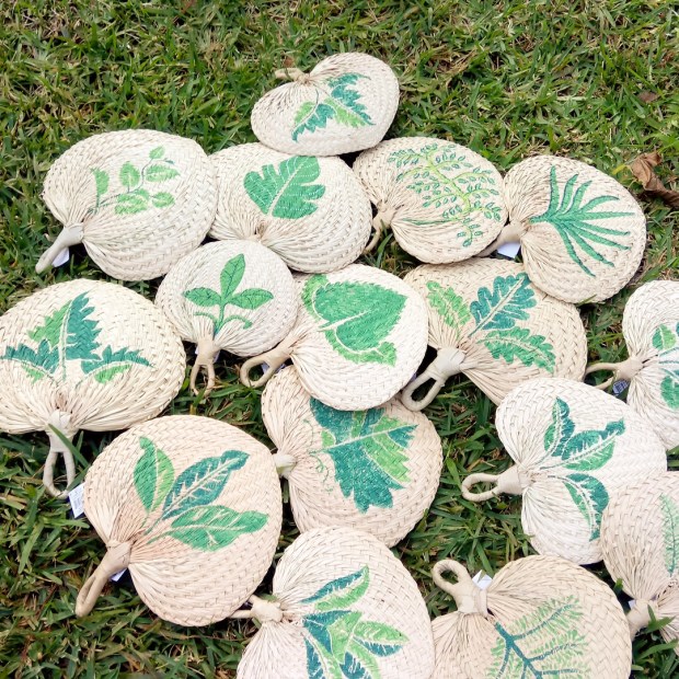 wiriwoods_abanicosanalia