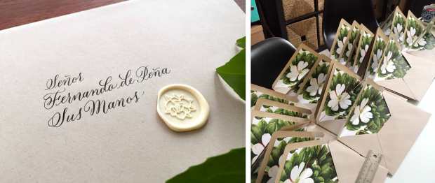 WiriWoods_Andrea_Sobre