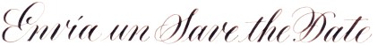 Envia-un-Save-the-Date