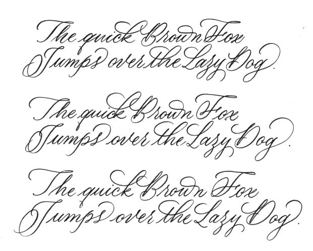 WIriWoods_Caligrafia_BrownFox