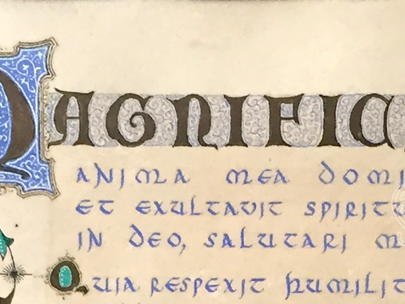 Diferencia entre Caligrafía, Pendolismo y&nbsp;Lettering